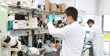 rb88随行版_官网官网入口