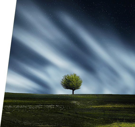 rb88随行版_官网官网入口